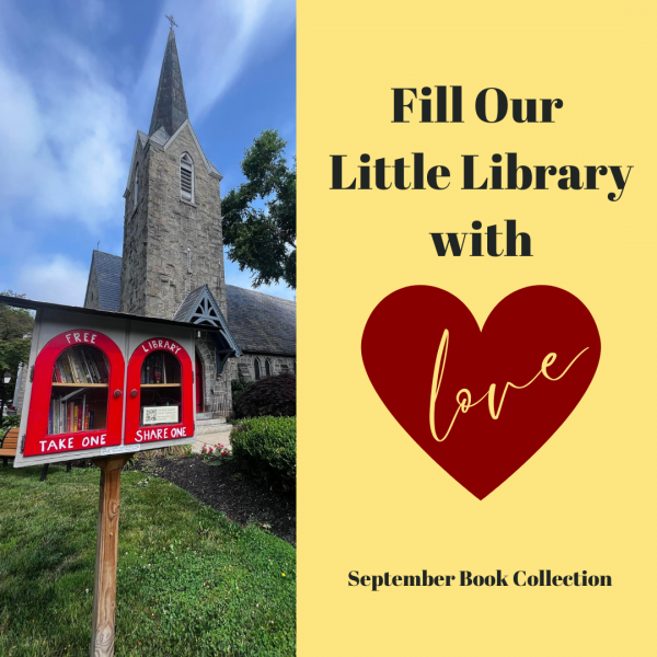 Little Library of Love Book Collection