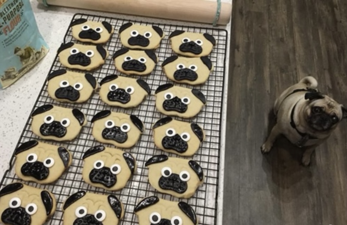 pug-cookies_423